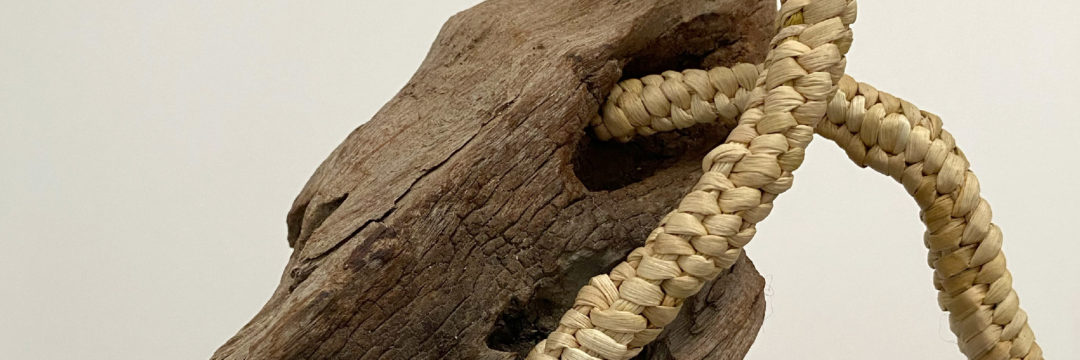 PackSocialmedia_AnaTeresaBarboza-06